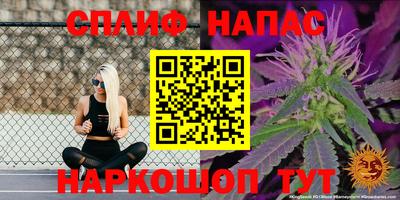 герыч Будённовск