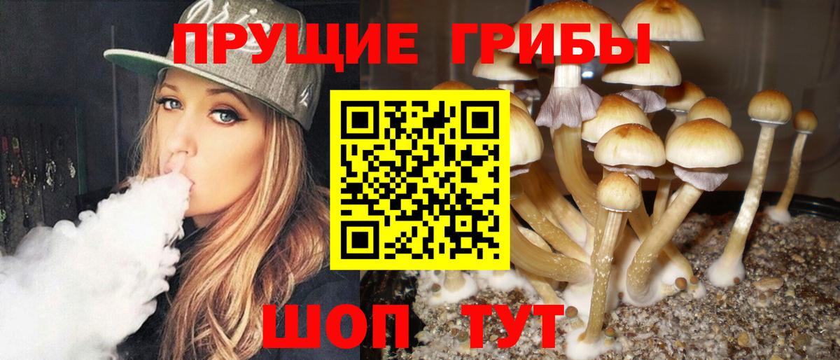 Псилоцибиновые грибы мицелий Кызыл